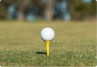 Marbella Hillside Villa